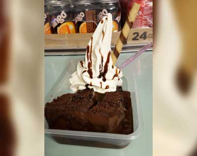 Chocolate fudge cake and icecream